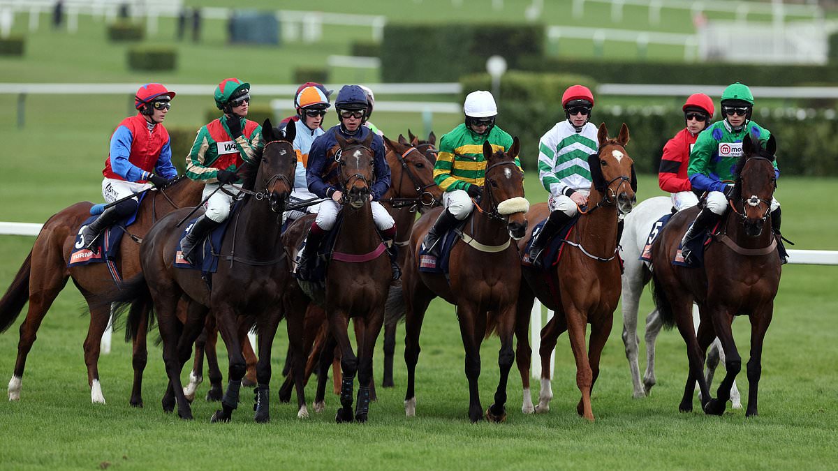 The Rise of Cheltenham Memes on TikTok: A Viral Phenomenon